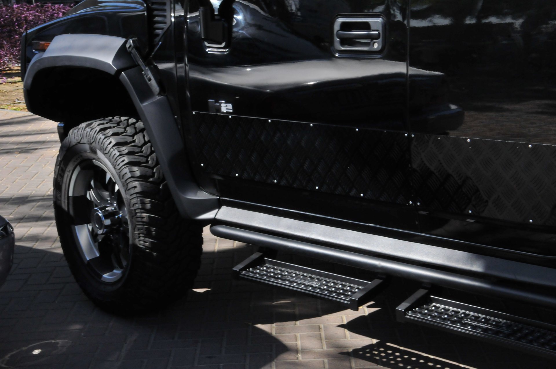 Custom bodywork and side steps.